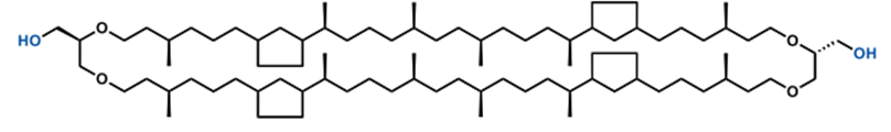 Molecular structure of GDGT